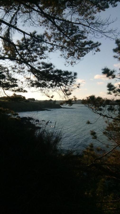 Tente 3 Chambres, Petit Camping Familial Vue Mer Plestin-les-Greves Exterior photo